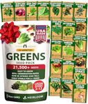 HOME GROWN 10,000+ Heirloom Lettuce Seeds for Planting Indoors - 95% Germination, Non-GMO Greens Seeds, (20 Varieties): Kale, Spinach, Butter, Oak, Romaine Bibb & More - Lettuce Seeds for Hydroponic