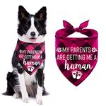 STMK Plaid Dog Bandana, Pink, My Parents are Getting Me A Human, Adjustable, One Size