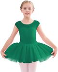 Stelle Ballet Leotards for Girls Toddler Leotard with Tutu Skirt Dance Tutu Dress (Green,4T)