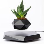 BandD Floating Plant Pot - Levitating Plant Pot for Succulents, Air Bonsai, & Air Plants. Floating Planter for Home, Office & Desk Levitating Decor. Magnetic Floating Levitating Display. (Black)