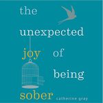 The Unexpected Joy of Being Sober: Discovering a Happy, Healthy, Wealthy Alcohol-Free Life