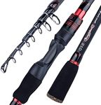 Bass Fishing Rods