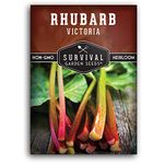 100+ SEEDS- Victoria Rhubarb Seed for Planting - Grow Delicious and Tangy Red Stalks in Your Home Garden - Non-GMO Heirloom Variety.