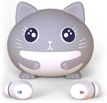 Kids Earbuds, Cat Wireless Headphon