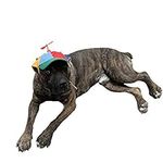 GEANBAYE Dog Hats with Funny Propel