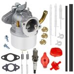 Ajnlx Carburetor Carb Compatible with 250cc Briggs & Stratton 1150 11.50 ft Snow Series Engine