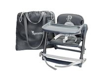 APRAMO FLIPPA Dining Booster Chair, Baby Toddler Folding Portable Booster Feeding Seat for Children 6 Months to 3 Years Approx. 15kg with Harness & Removable Tray, Lunar Shine Grey/Silver