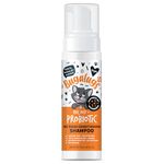 Bugalugs No Rinse Cat Shampoo for Itchy Skin with Prebiotics, Postbiotics & Probiotics for cats - kitten shampoo and cat shampoo for indoor cats for sensitive skin supports your pets Microbiome