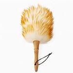Feather Duster with Wood Handle, An