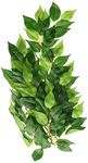 Exo Terra Silk Ficus Plant, Medium