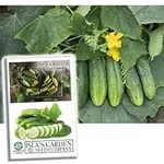 Spacemaster Cucumber Seeds, 100+ He