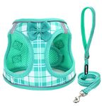 JdotMIN Plaid Step-in Dog Harness and Leash Set, for Small Dog and Cat Vest Harness No Pull, Escape Proof, for Walking Puppy and Kitten, for Travel and Car, Harnais Pour Chien (Green, XXS)