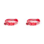 Ancol I Am Microchipped Cat Collar with Safety Buckle, Red (Pack of 2)