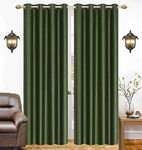 Dark Green Curtains