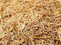 CSPARK Band Natural and Organic Wheat Straw(2 kg) for Mushroom - Shrubs and General beds Mulch,Mushroom Farming and Gardening,100% Natural