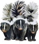 Collections Etc Realistic Skunk Tri