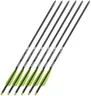 Bear X 6-Pack Truex Crossbow Arrows - 20", ACBK20, Black