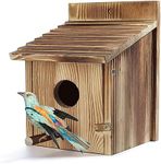 Bird House for Outside with Predato