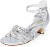 DREAM PAIRS Girls Dress Shoes Sandals Low Heels Ankle Strap Flower Wedding Party Shoes for Little Kid/Big Kid,Size 12 Little Kid,SILVER,SDSD2424K