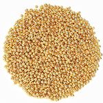 1500Pcs 4mm Gold Spacer Round Beads Smooth Loose Ball Beads for Bracelet Necklace Jewelry Making Craft Supplies