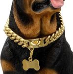 W/W Lifetime Gold Dog Chain Collar 