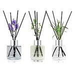 3 Pack Fragrance Reed Diffuser, 50M