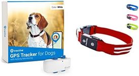 Tractive GPS Dog Tracker + LED Collar. Live Location With Unlimited Range (Red, M)