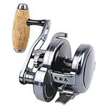 Jigging Reel Saltwater Slow Pitch J