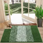 Vaukki Indoor Doormat Entryway Door Rug, Non Slip Absorbent Mud Trapper Mat Inside Floor Mat, Washable Small Door Carpet for Entryway (20''x32'', Green)