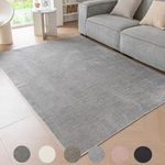 Ceneco Low Pile Rug, Washable Rugs for Living Room - Modern Soft Short Pile Area Rugs for Bedroom Dining Room Carpet for Kitchen Non Slip Non Shedding(Grey, 80×150cm)