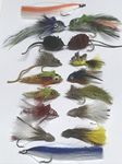 Pike and Bass Flies -Boxed - Set of sixteen + Fly Box Size 4 up to 3/0 with weed guards #PIK1