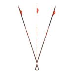 Carbon Express 51148: D-Stroyer Mx Hunter 350 6Pk Arrows