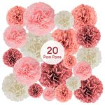 EpiqueOne 20-Piece Paper Pom Poms Party Kit – Tissue Pom Pom Decorations; Birthday Party Decorations - Bridal Shower - Bachelorette - Easy to Assemble and Install; Blush Pink, Dusty Rose, Mauve, Cream