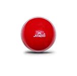 jaspo Cricket Ball Soft PVC Ball,Indoor & Outdoor Play, Colour Red (Pack of 1)