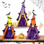 Lovinland 3pcs Hocus Pocus Witches Gnomes with Broom for Hocus Pocus Halloween Decorations Indoor Halloween Witches Swedish Tomte Elf Gnomes for Halloween Hocus Pocus Home Table Decor