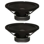 Goldwood Sound, Inc. Stage Subwoofer, Rubber Surround 10" Woofers 250 Watts Each 8ohm Replacement 2 Speaker Set (GW-1038-2)