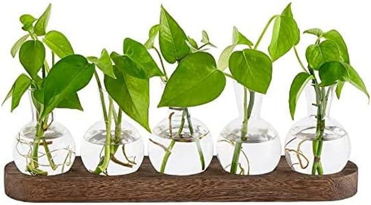Mkono Desktop Plant Propagation Glass Station Retro Terrarium with Wooden Tray Bulb Vase for Hydroponic Home Indoor Decor Brown, Plant Lover Gift