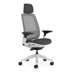 Steelcase Series 2 Ergonomic Height Adjustable Office Chair with Adjustable Lumbar Support and Armrests, Breathable Nickel Back Mesh and Comfortable Anthracite Seat Fabric + Adjustable Headrest