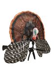 Turkey Hunting Equipment