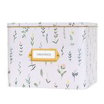 Vinca Blue Greeting Card Organizer and Storage Box with Dividers, Cards, and Envelopes | Greeting Card Keeper, Notecard Box, Birthday Card Organizer (Wildflower)
