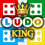 Ludo King™