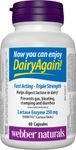 Webber Naturals Dairy Again Lactase Enzyme 250 mg, 60 Capsules, Helps Digestion of Lactose in Milk and Dairy Products