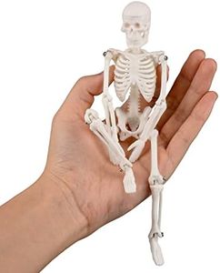 Ultrassist Mini Human Skeleton Model, Portable 20cm Skeleton Bone Model, Great Teaching Tool for Physiological Education and Human Skeletal System Study