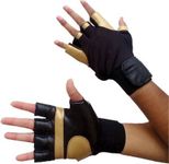 Golds Gym Workout Gloves