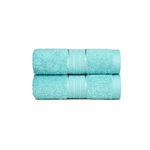 Trident Home Essential 100% Cotton Hand Towels 450 GSM, Face Towels for Men/Women, 2pc Hand Towel Set 40cm x 60cm, Misty Green