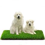 Eurotex 35MM Artificial Grass Carpet Mat for Balcony, Lawn, Door, Soft Comfortable (PE & PP, Natural Green, 1.5x3 Feet)