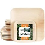 HAAGO Compostable Palm Leaf Plates - Eco-Friendly, Microwave & Freezer Safe for Picnics (80, 15cm x 25cm / 6" x 10" Square)