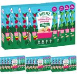 HEINZ Baby Food Summer Fruit Porridge 6x200g (Pack of 4)