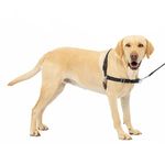 PetSafe Easy Walk Harness, Black/Beige, Large