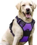 rabbitgoo Dog Harness Large Dog No